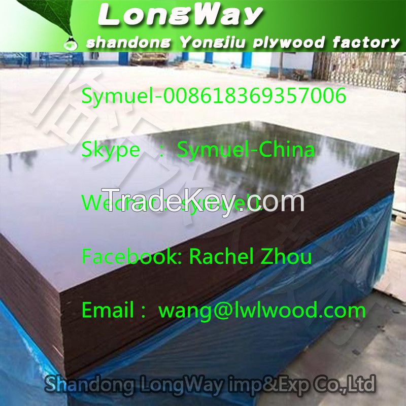 hot selling cheap  plywood sheet as construction building for Africa market