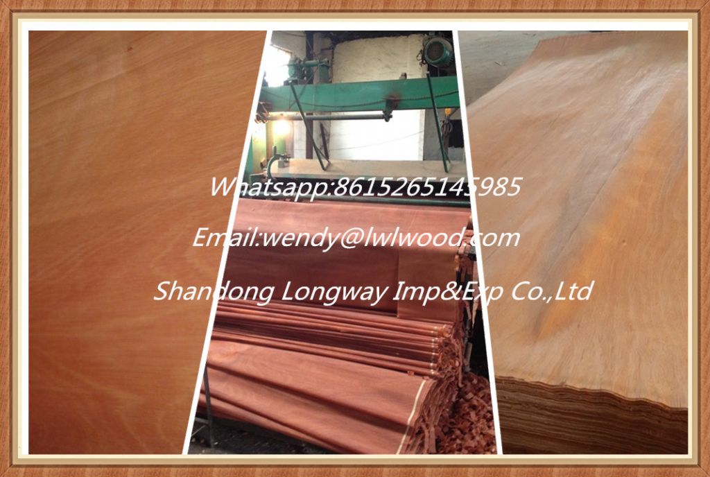 low price gurjan wood face veneer door skin