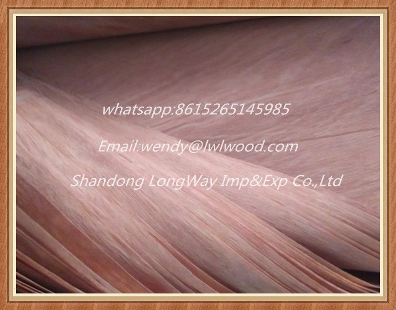 low price gurjan wood face veneer door skin