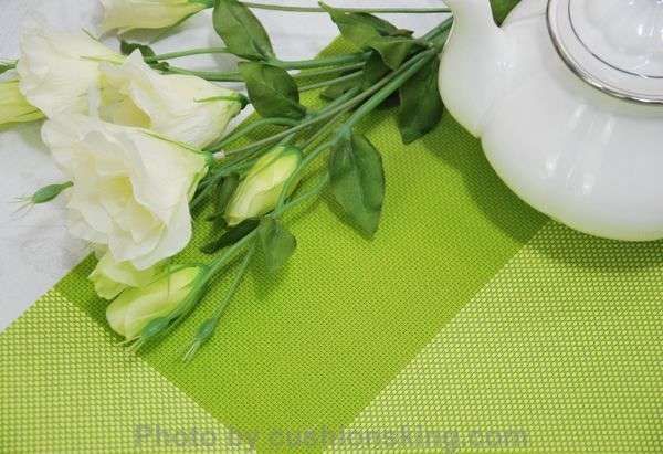 Plaid fruit-green PVC placemat