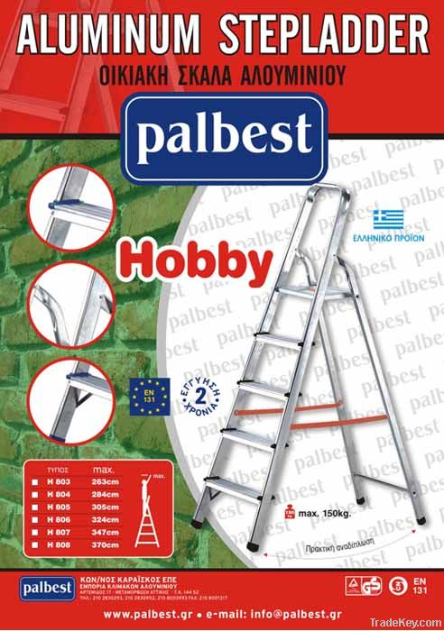 HOBBY HOUSE STEP LADDER