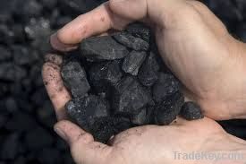 Coal