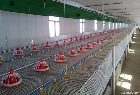 poultry feeding equipment