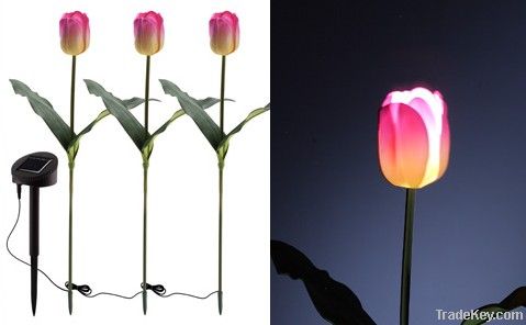 Solar Tulips Lights