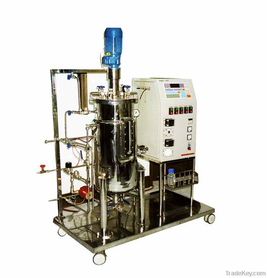 Mechanical Stirring Stainless Steel Bioreactor