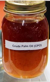 Crude palm Oil (CPO)
