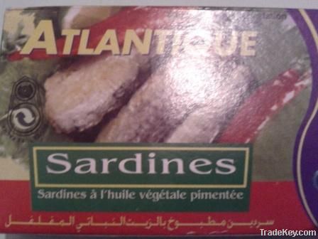 Canned sardines