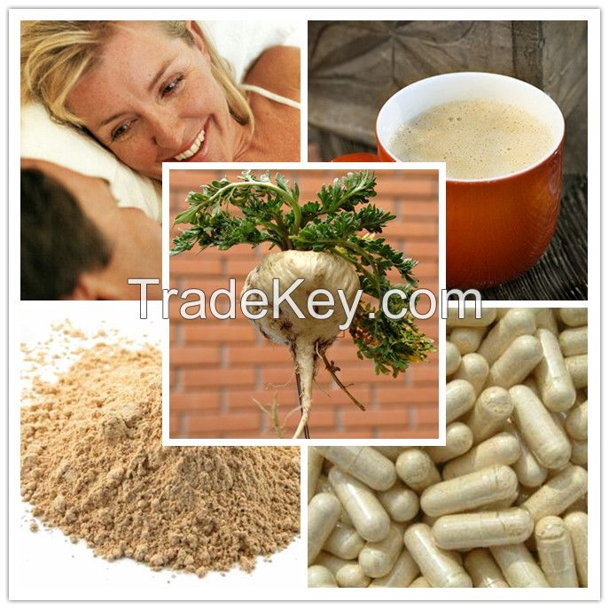 Maca extract pwder