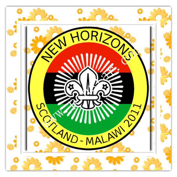 2014 new products wholesale custom logo New Horizons 2011 Expedition Badge