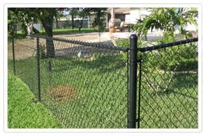 Chain Link Fence