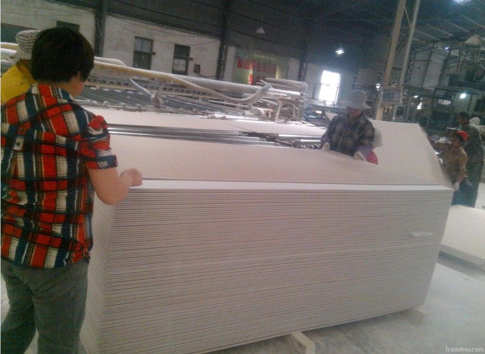 Gypsum Board