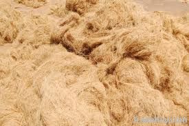 Coir fiber