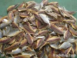 Dried Seafoods