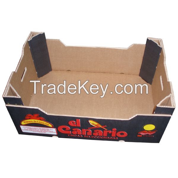 2015 hot sales big fruit corrugated box/ pallet