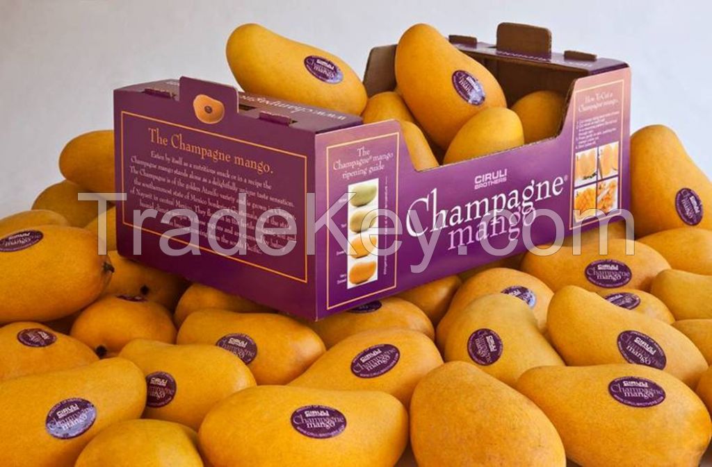Plantation shipping fruit packaging box for mango and peach/la frutas caja