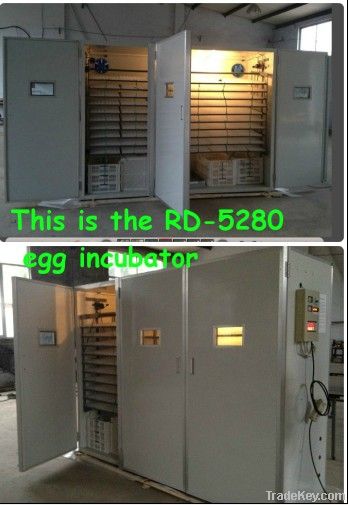 RD-5280 Chicken egg Incubator