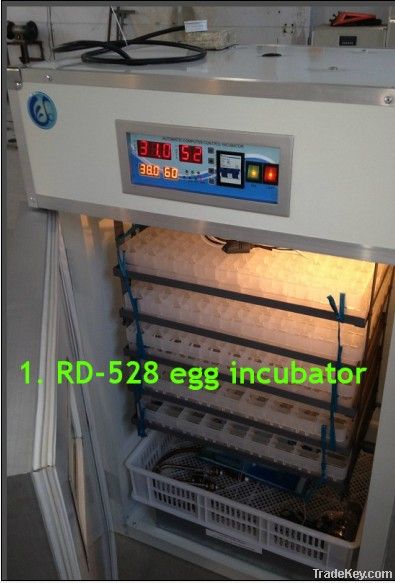RD-528 Chicken egg Incubator