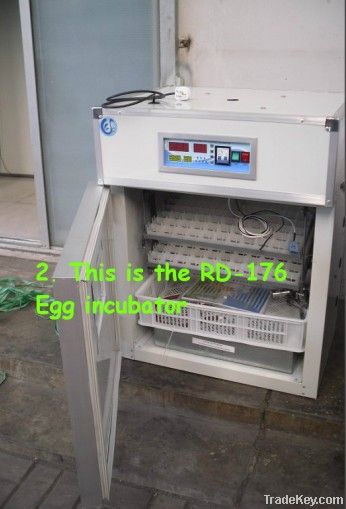 RD-176 Chicken egg Incubator