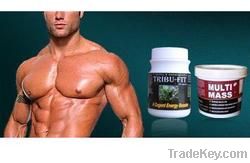 Bodybuilding Supplements