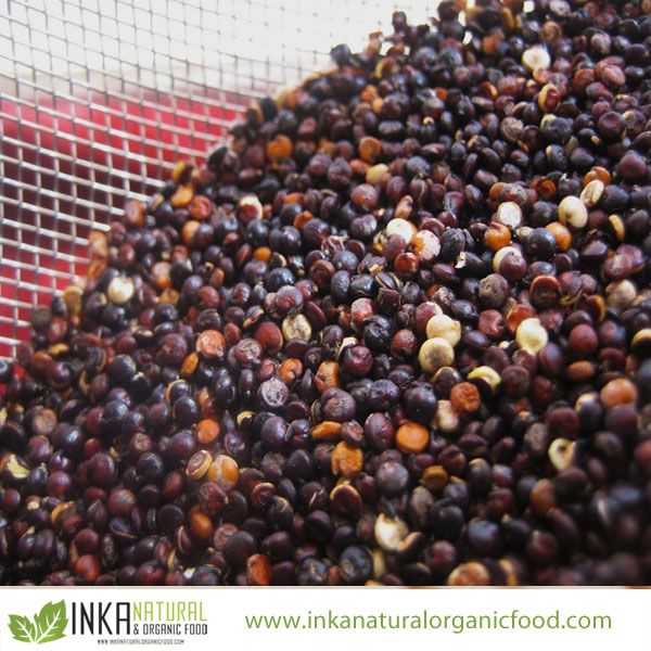 ORGANIC BLACK QUINOA Grain PREMIUM Certified