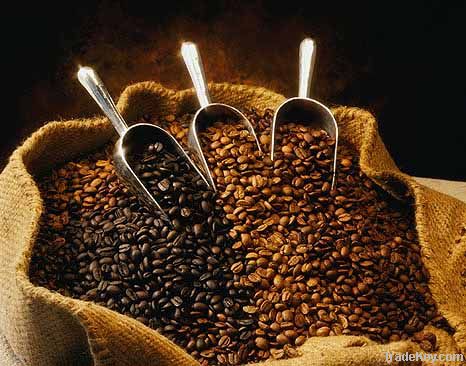 Coffee Beans