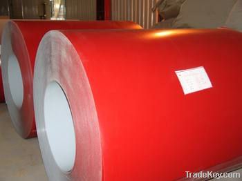 Galvanized Colored Painting Steel Coil