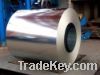 Galvanized Steel Coil