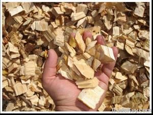 Wood Chips (fuel and Pulp)