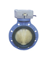 plastic butterfly valve