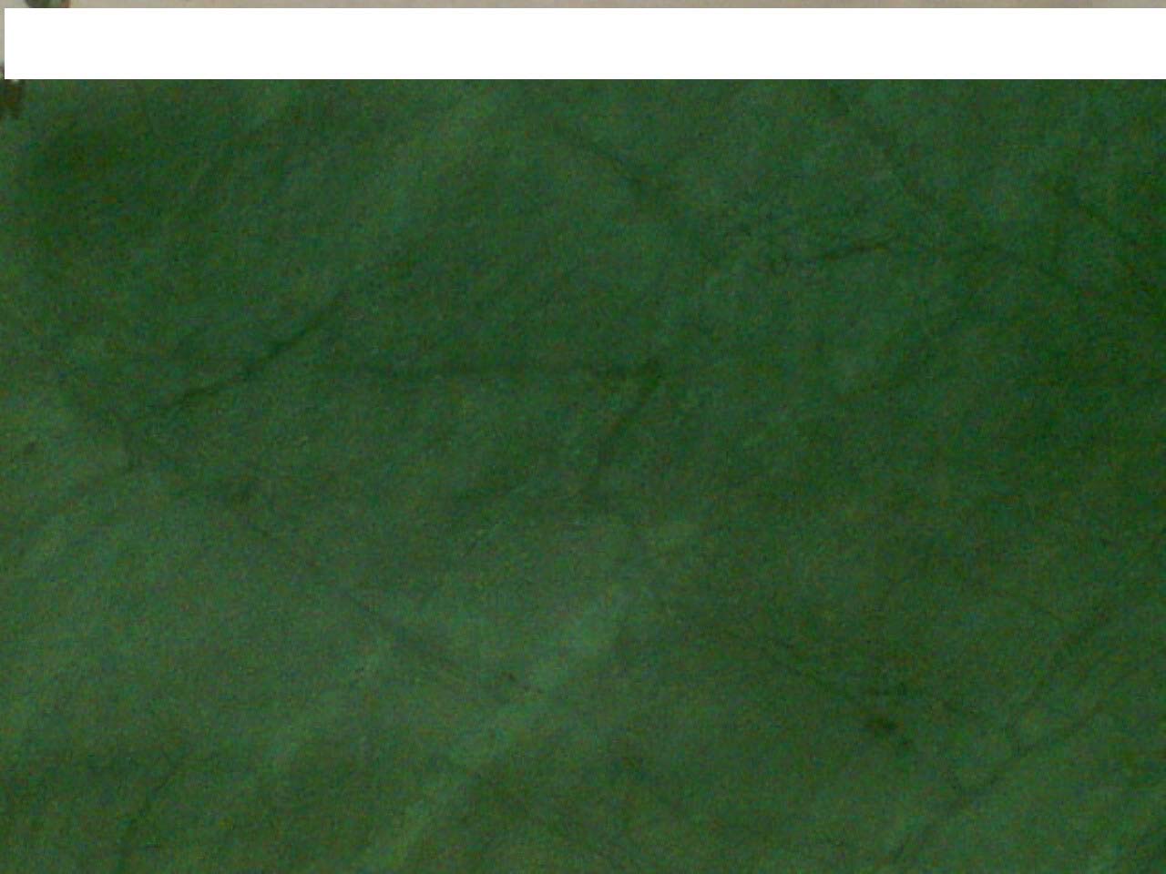 indian green marble