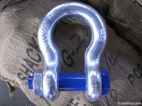 US Type Drop Forged Shackle