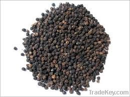 Black Pepper