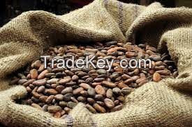 COCOA BEANS