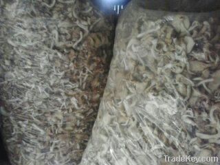 Dried Oyster White Mushrooms