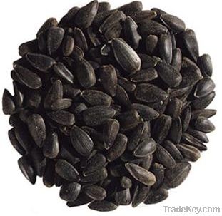 Sunflower seeds