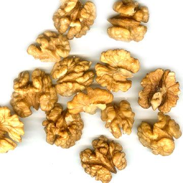 Walnut Kernels | Dried Fruits | Walnut Suppliers | Walnut Exporters | Walnut Manufacturers | Cheap Walnut | Wholesale Walnut | Discounted Walnut | Bulk Walnut | Walnut Buyer | Import Walnuts | Shelled Walnuts