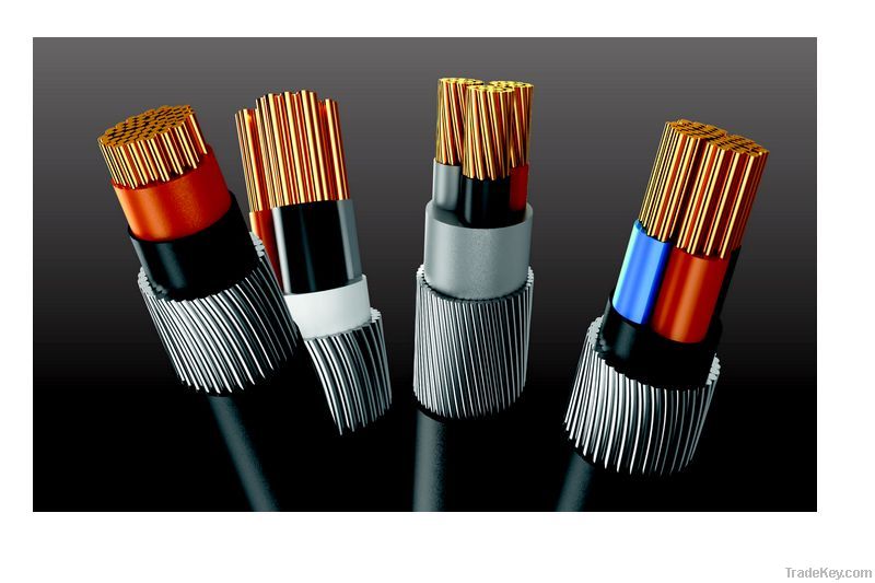 0, 6-1kV N2XRY STEEL WIRE ARMORED CABLES