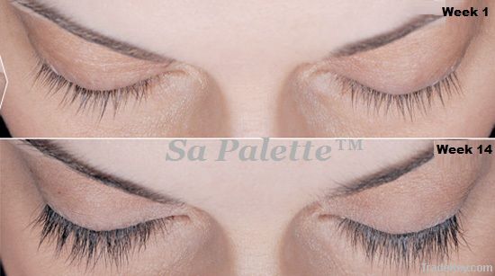 Authentic Eyelash & Eyebrow Growth Formula