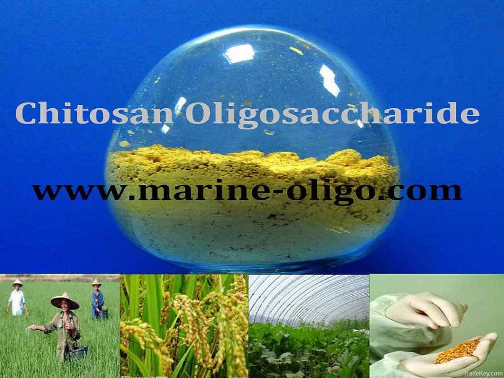 Agriculture Grade Chitosan Oligosaccharide