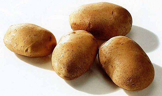 Potatoe seeds, class A from Holland!
