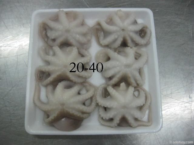 WHOLE CLEANED BABY OCTOPUS