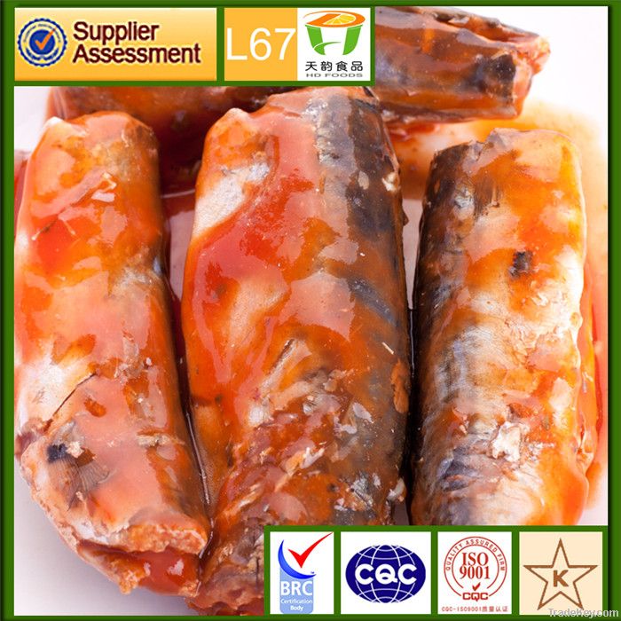 caned Mackerel in brine or tomato paste