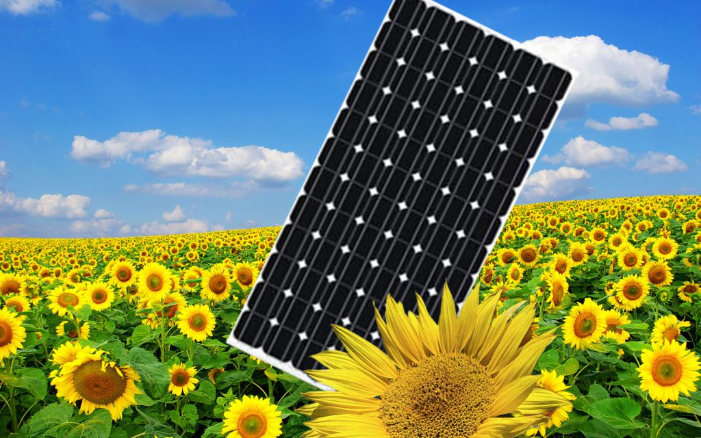 250W PolyCrystalline PV Solar panel