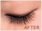 EYELASH EXTENSION KIT + TRAINING DVD