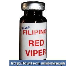 FILIPINO RED VIPER