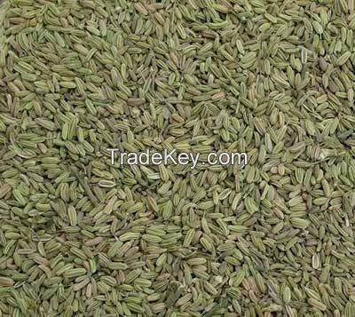 organic feneel seeds