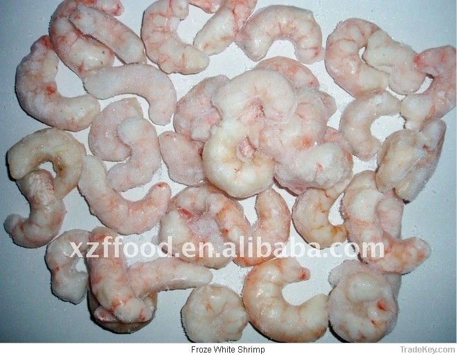 Shrimp