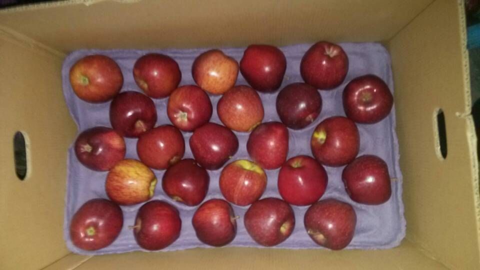 Fresh Huaniu Apples