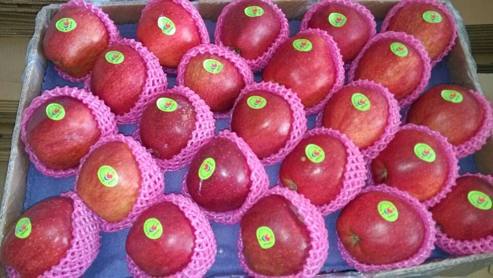 Fresh Huaniu Apples