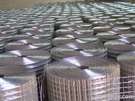 Welded Wire Mesh